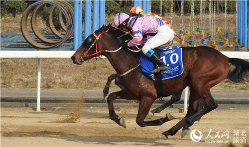 武汉速度赛马公开赛2017年度总决赛精彩收官