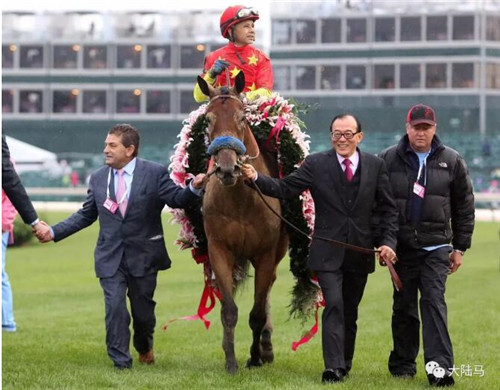 美国“日蚀奖最佳三岁雌马”最终名单:CHC“探险家”有望当选2.jpg
