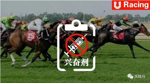 国际赛马联盟:寻求制定全球统一的赛马比赛反兴奋剂标准1_副本.jpg