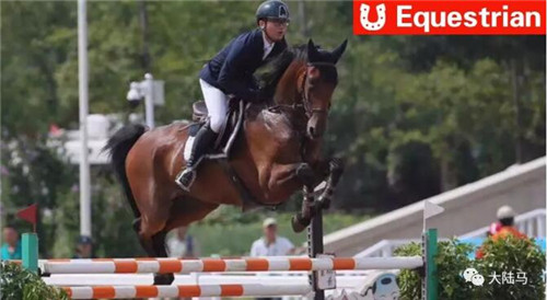 又一突破
：19岁浙江骑手张兴嘉将参加五星级香港马术大师赛