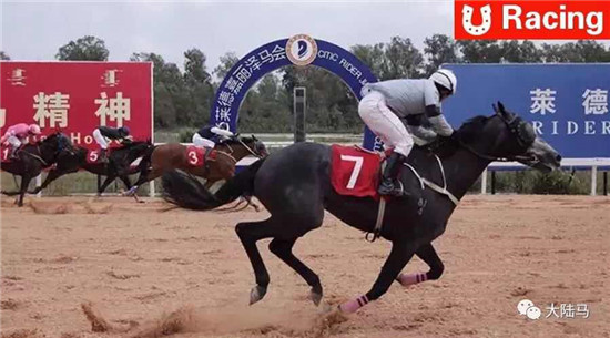 中信莱德嘉丽泽马会1.20战报
：“大谦雄鹰”再度霸气夺冠
