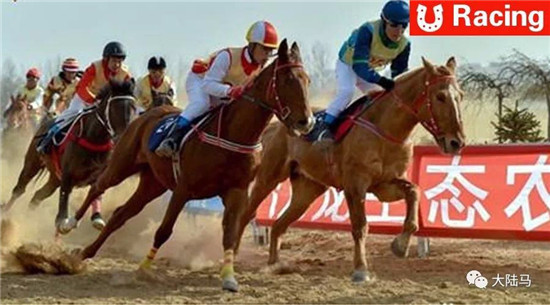 2018河北秦皇岛汣龙杯马友联赛圆满举行