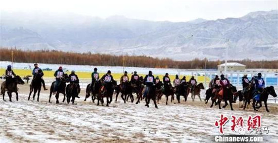 甘肃雪地赛马-大陆赛马网 (5).jpg