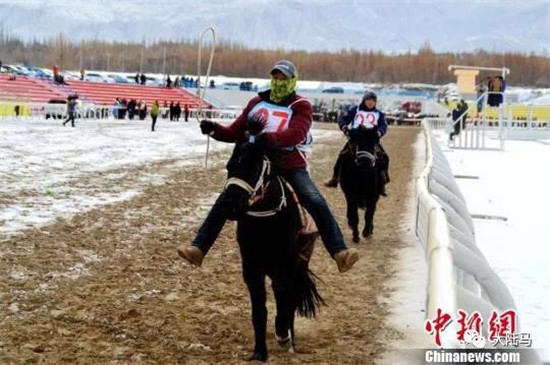 甘肃雪地赛马-大陆赛马网 (6).jpg