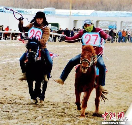 甘肃雪地赛马-大陆赛马网 (8).jpg