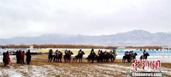 甘肃雪地赛马-大陆赛马网 (9).jpg