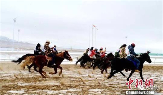 甘肃雪地赛马-大陆赛马网 (10).jpg