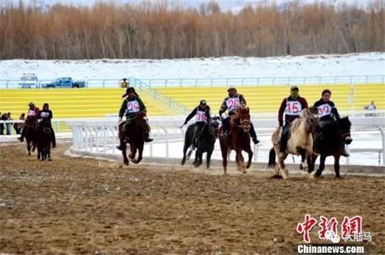 甘肃雪地赛马-大陆赛马网 (11).jpg