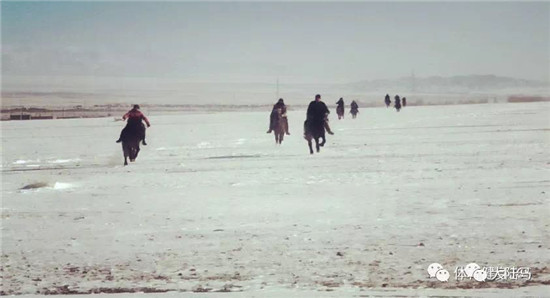 新疆冬季赛马-大陆赛马网 (3).jpg