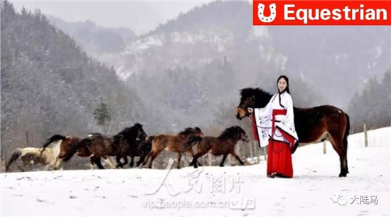 我国濒临绝迹的珍稀品种“陕西宁强矮马”因汉服女孩走红