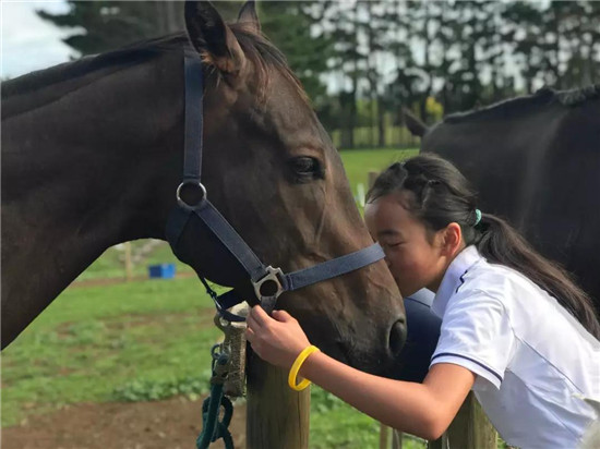走进中信莱德嘉丽泽马会冬令营4-大陆赛马网.jpg