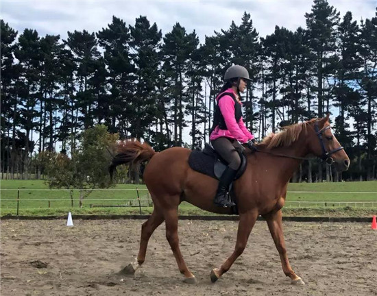 走进中信莱德嘉丽泽马会冬令营6-大陆赛马网.jpg