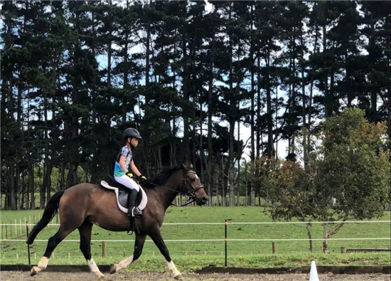 走进中信莱德嘉丽泽马会冬令营7-大陆赛马网.jpg