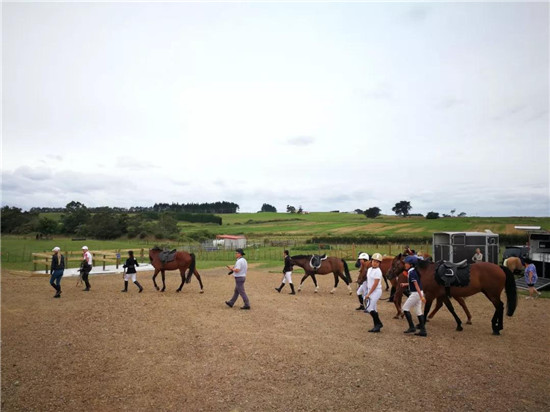 友谊赛-大陆赛马网.jpg