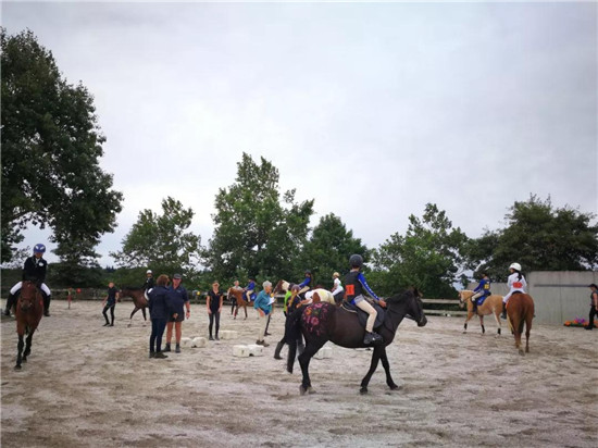 友谊赛8-大陆赛马网.jpg