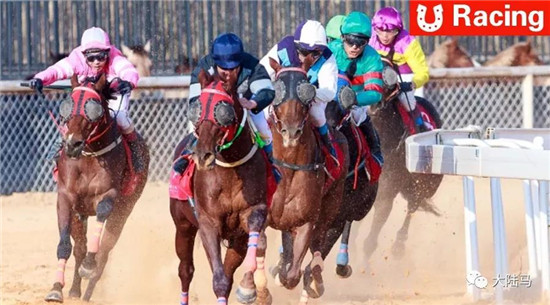 报名费四百，奖金一万�
：2018莱德嘉丽泽“非纯血马”速度邀请赛