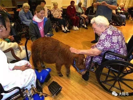 麦奇拜访养老院-大陆赛马网.jpg