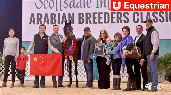 中国马主旗下“萨菲尔”获美国阿拉伯马国际“选美”冠军-大陆赛马网.jpg