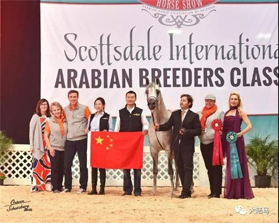 两岁公马“达摩”在第四日的International Classic公马比赛中取得两岁公马组的亚军-大陆赛马网.jpg