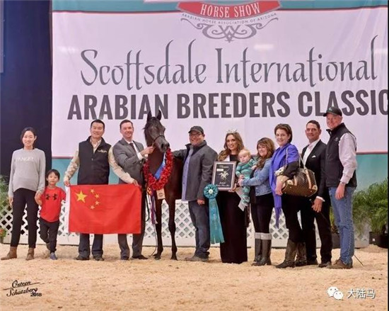 “萨菲尔”在第五日的埃系母马总决赛比赛中取得青年母马全场总冠军!中国马主代表上台领奖-大陆赛马网.jpg