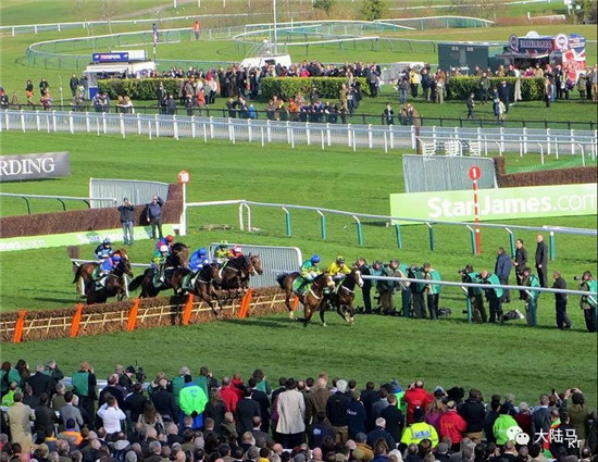 切尔腾汉姆赛马节-大陆赛马网.jpg