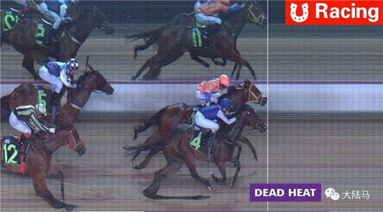 新加坡赛场上周出现并列头马,高额奖金如何分?-大陆赛马网.jpg
