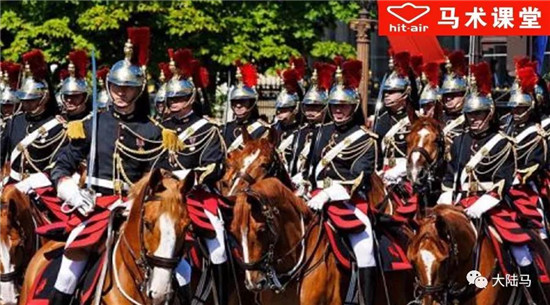 法国骑兵卫队马的入门标准肩高1.66米-大陆赛马网.jpg