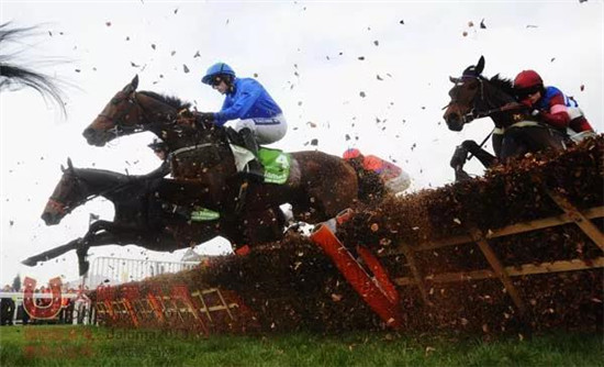 切尔滕纳姆赛马节2-大陆赛马网.jpg