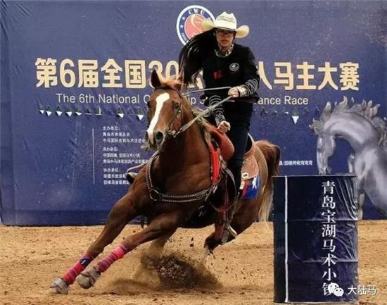 魏慧瑛 大陆赛马网.jpg