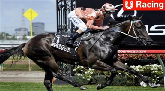没有悬念!世界第一赛马女王“云丝仙子”迎来24连胜 大陆马 大陆赛马网 (8).jpg