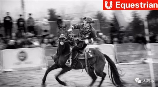 首届“沙温泉杯”全国马术比赛宁夏银川撒缰 众骑手黄河边策马追风