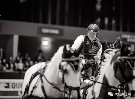 可别小瞧驾马车的!这可是国际马联马术世界杯的参赛项目 大陆马 大陆赛马网 (1).jpg