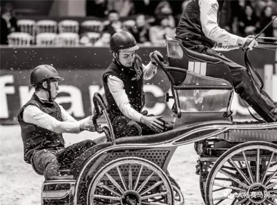 可别小瞧驾马车的!这可是国际马联马术世界杯的参赛项目 大陆马 大陆赛马网 (4).jpg