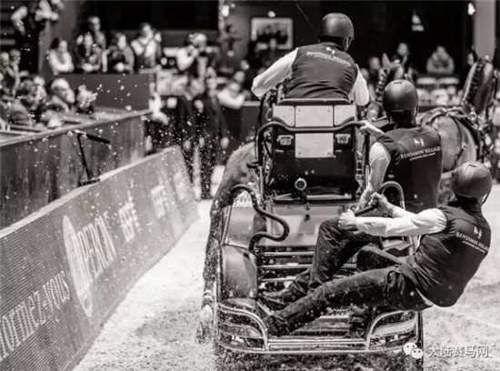 可别小瞧驾马车的!这可是国际马联马术世界杯的参赛项目 大陆马 大陆赛马网 (3).jpg