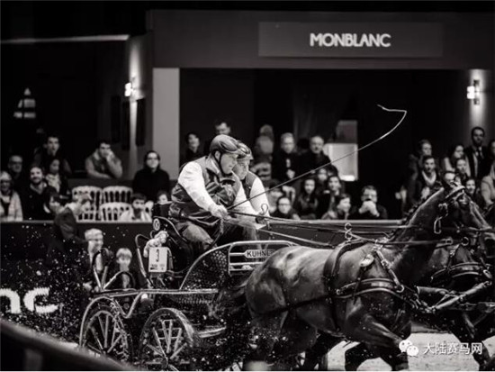 可别小瞧驾马车的!这可是国际马联马术世界杯的参赛项目 大陆马 大陆赛马网 (5).jpg