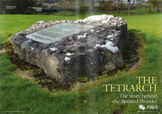 灰色斑点马长期被认为是劣质马,直到20世纪伟大赛马“领主”的出现 大陆马 大陆赛马网 (3).jpg