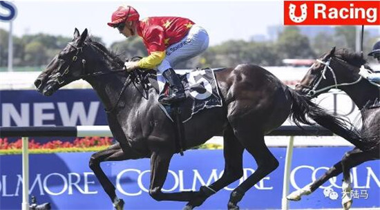 CHC杰士马主俱乐部上周于澳大利亚、美国连收三冠 大陆马 大陆赛马网.jpg