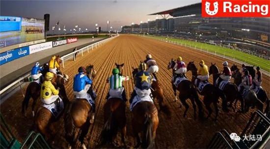 玉龙马业赛驹连续两年出战迪拜世界杯赛马日:“公子”携“勇者”力求突破 大陆马 大陆赛马网 (1).jpg