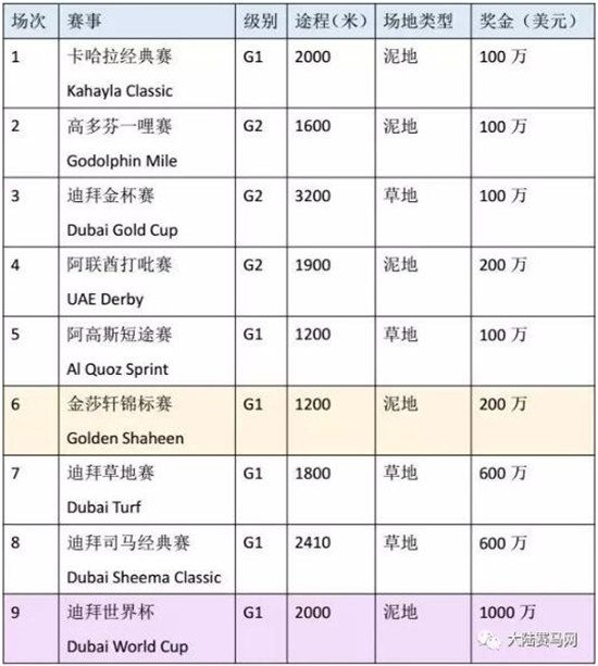 玉龙马业赛驹连续两年出战迪拜世界杯赛马日:“公子”携“勇者”力求突破 大陆马 大陆赛马网 (2).jpg