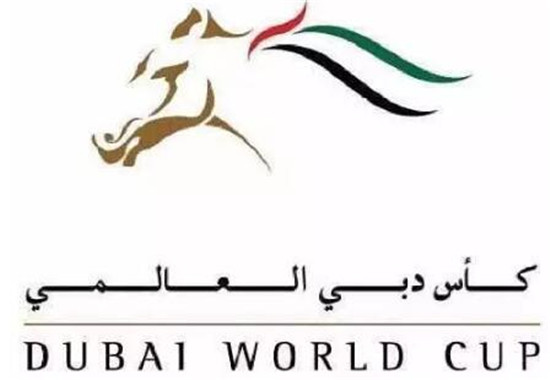 玉龙马业赛驹连续两年出战迪拜世界杯赛马日:“公子”携“勇者”力求突破 大陆马 大陆赛马网 (3).jpg