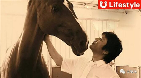 栾树与马	�：你可以离我，我绝不弃你，这一辈子
	！