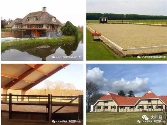 看完五星级荷兰马术大师赛的路线图,你会像冠军这么跳jump off么?大陆赛马网 (5).jpg