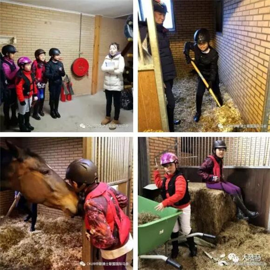 看完五星级荷兰马术大师赛的路线图,你会像冠军这么跳jump off么?大陆赛马网 (7).jpg