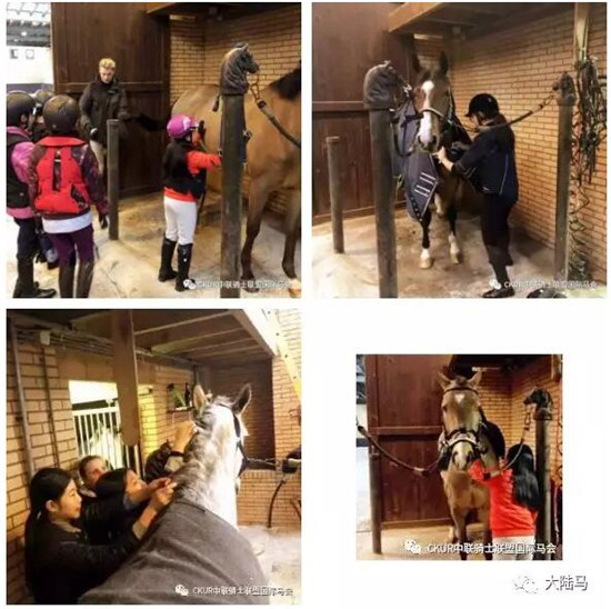 看完五星级荷兰马术大师赛的路线图,你会像冠军这么跳jump off么?大陆赛马网 (8).jpg