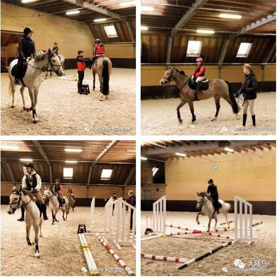 看完五星级荷兰马术大师赛的路线图,你会像冠军这么跳jump off么?大陆赛马网 (9).jpg