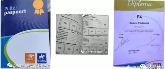 看完五星级荷兰马术大师赛的路线图,你会像冠军这么跳jump off么?大陆赛马网 (12).jpg