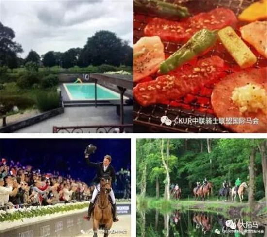 看完五星级荷兰马术大师赛的路线图,你会像冠军这么跳jump off么?大陆赛马网 (14).jpg