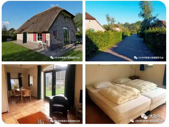 看完五星级荷兰马术大师赛的路线图,你会像冠军这么跳jump off么?大陆赛马网 (18).jpg