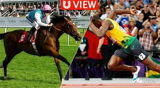 短跑明星VS顶级赛马,谁更快?谁更吸金?大陆马 大陆赛马网 (1).jpg