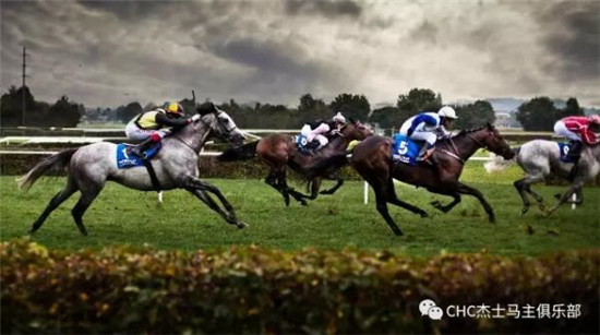 短跑明星VS顶级赛马,谁更快?谁更吸金?大陆马 大陆赛马网 (2).jpg